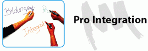 Pro-Integration-II-1